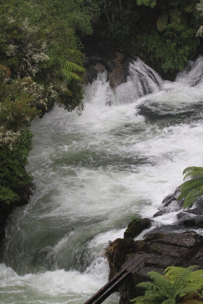 White water rafting in New Zealand, Kaituna River