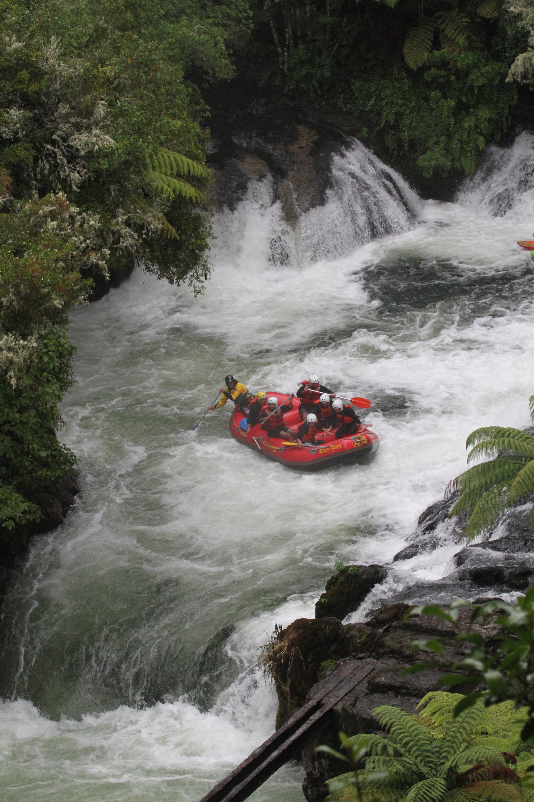 Kaituna river white water rafting, New Zealand