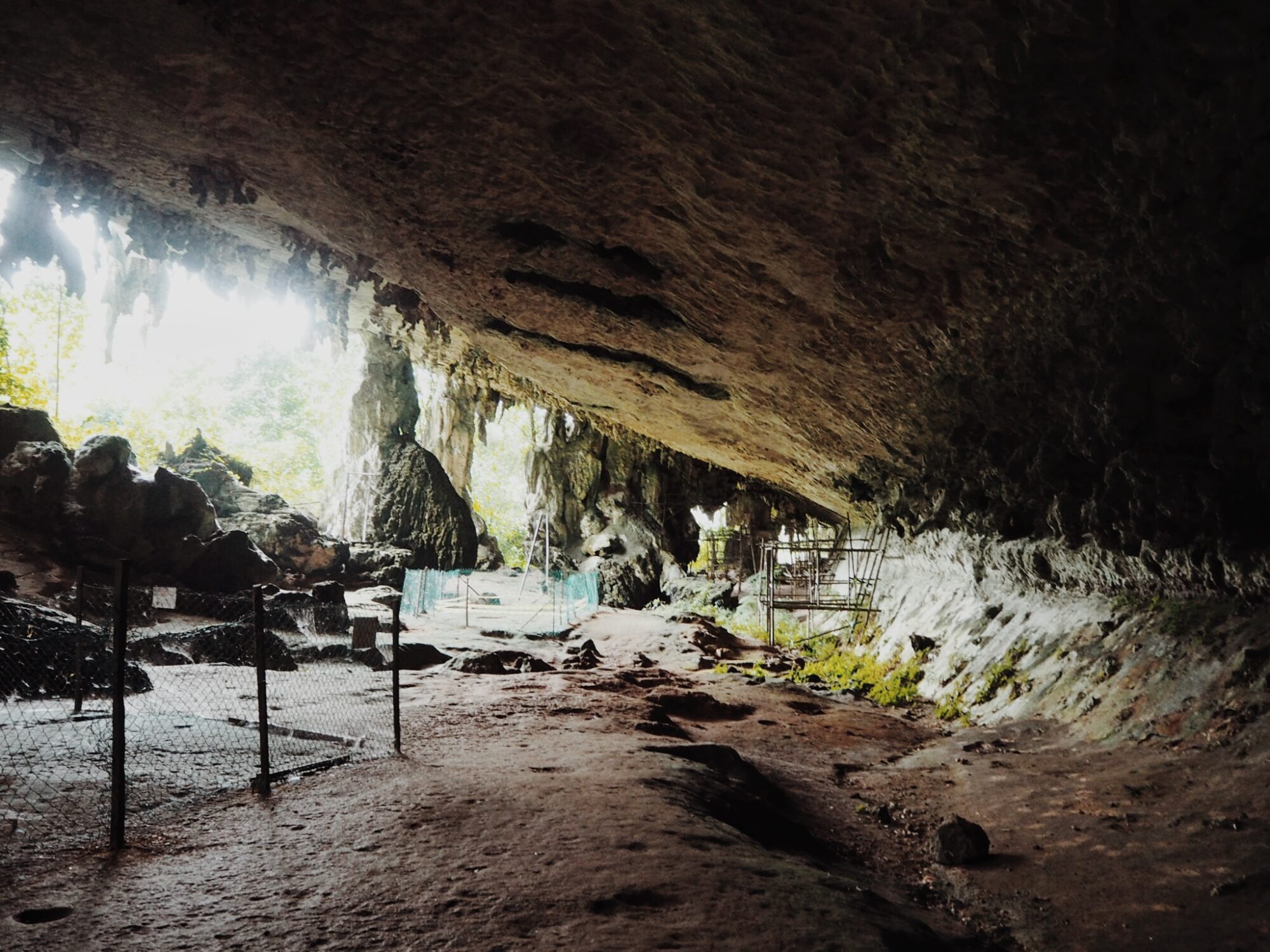 Gua Niah National Park