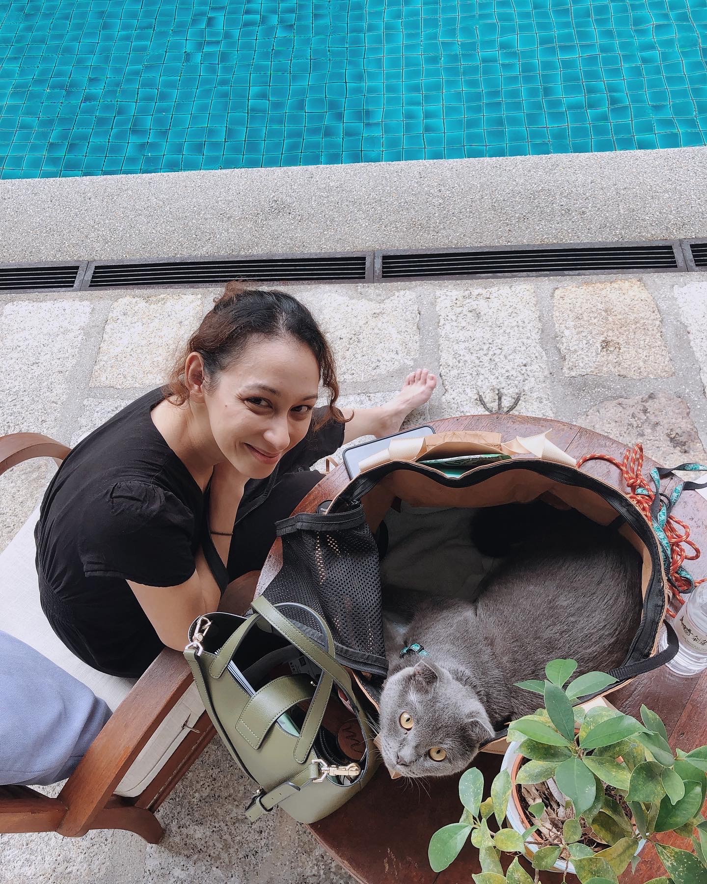 Cat in a bag with human