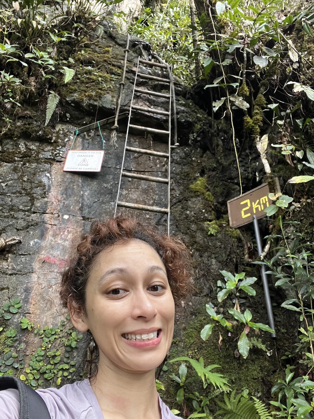 The Pinnacles Mulu Sarawak
