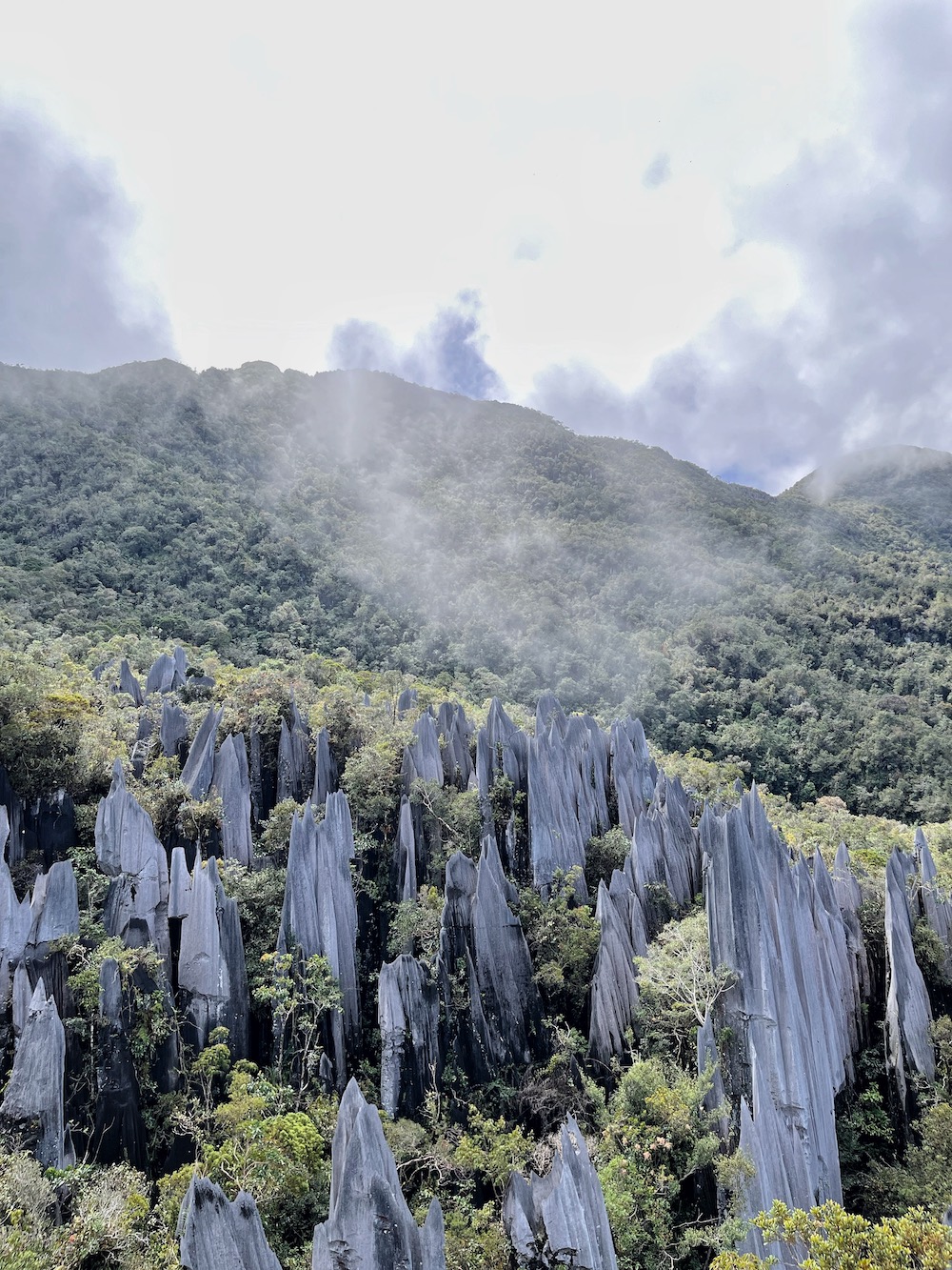 The Pinnacles, Mulu Sarawak