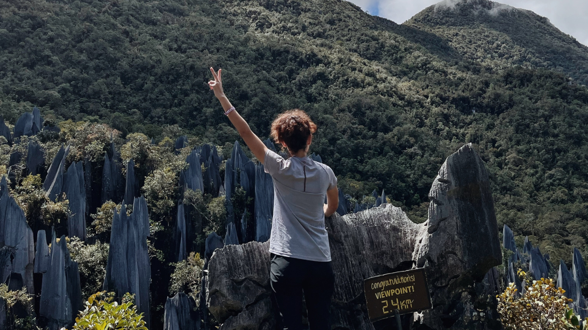The Pinnacles, Mulu National Park