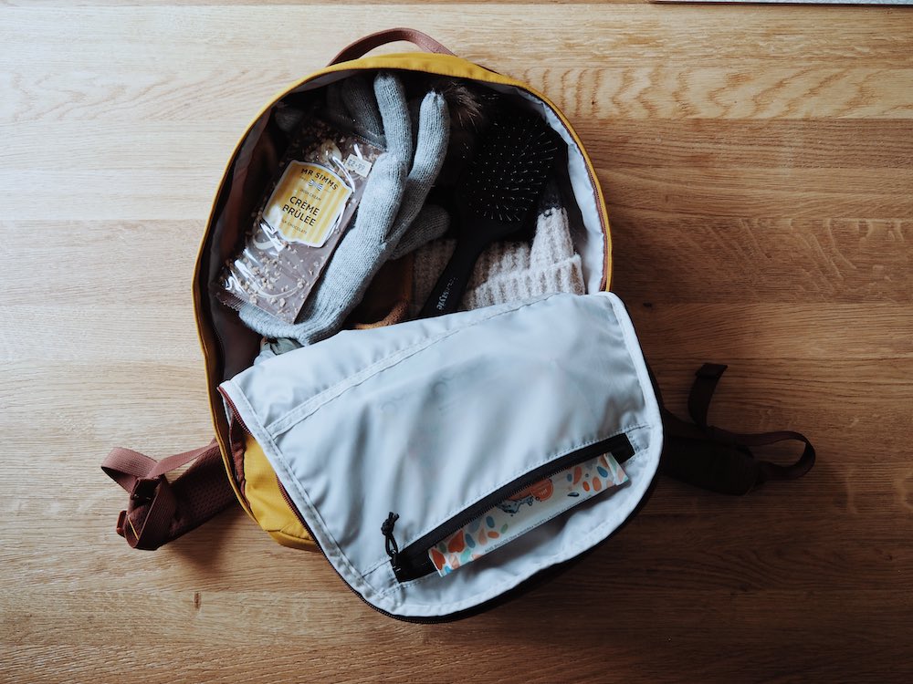 The Everything Backpack in 17L