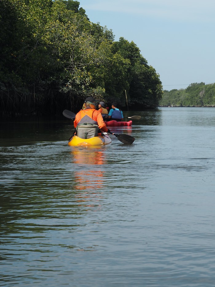 Sepang River Mangrove Kayaking