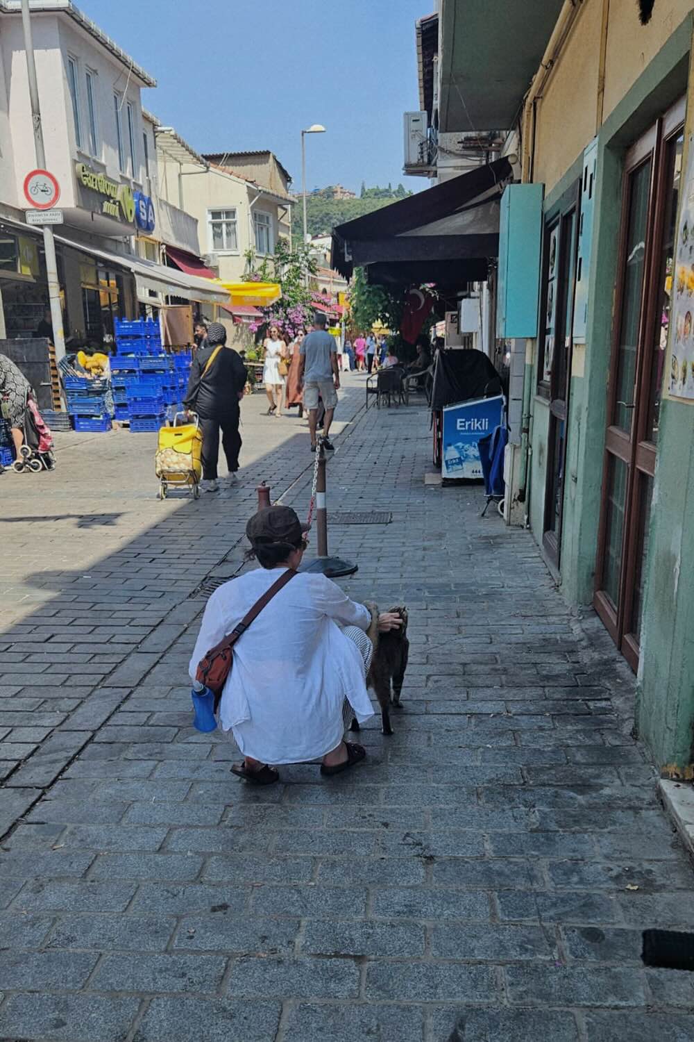 Buyukada, an Island in the Sea of Marmara.