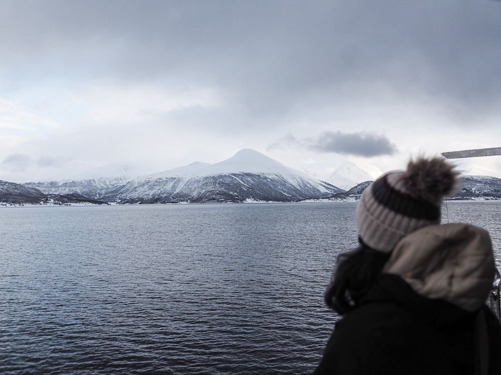 The Lyngen Alps View in Northern Norway The Lyngen Alps view from a fjord cruise