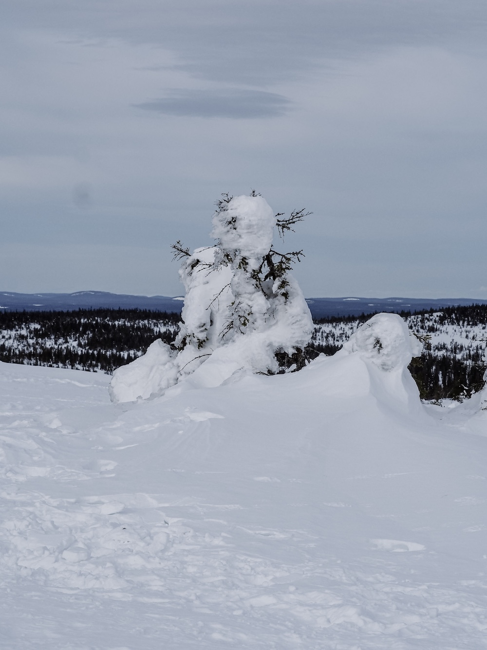 Winter hiking in Riisitunturi National Park