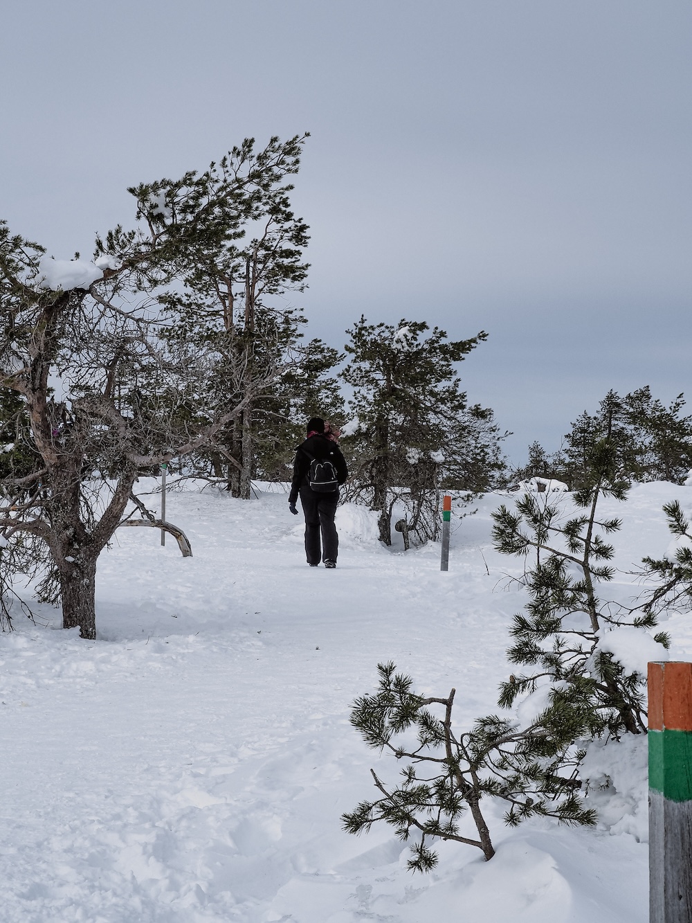 Winter hiking at Riisitunturi National Park in March