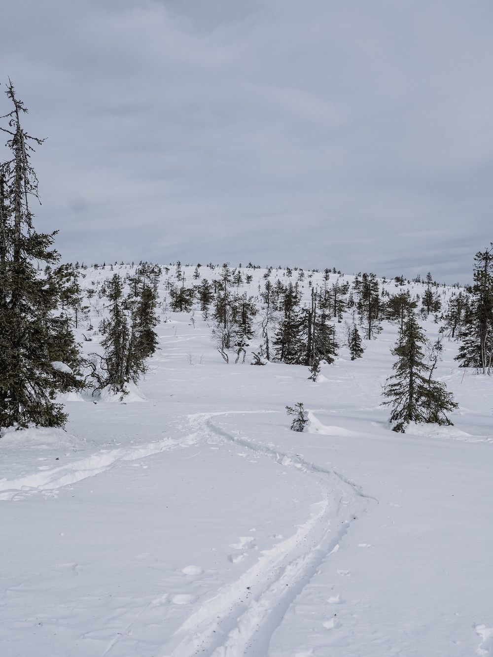 Winter hiking in Riisitunturi National Park