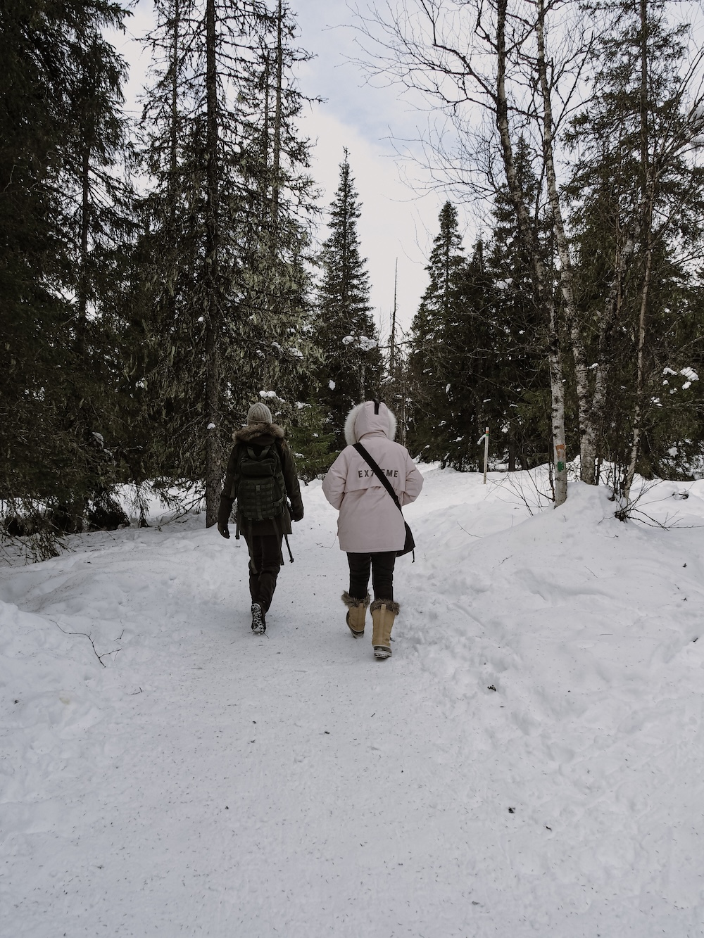 Winter hiking at Riisitunturi National Park in March
