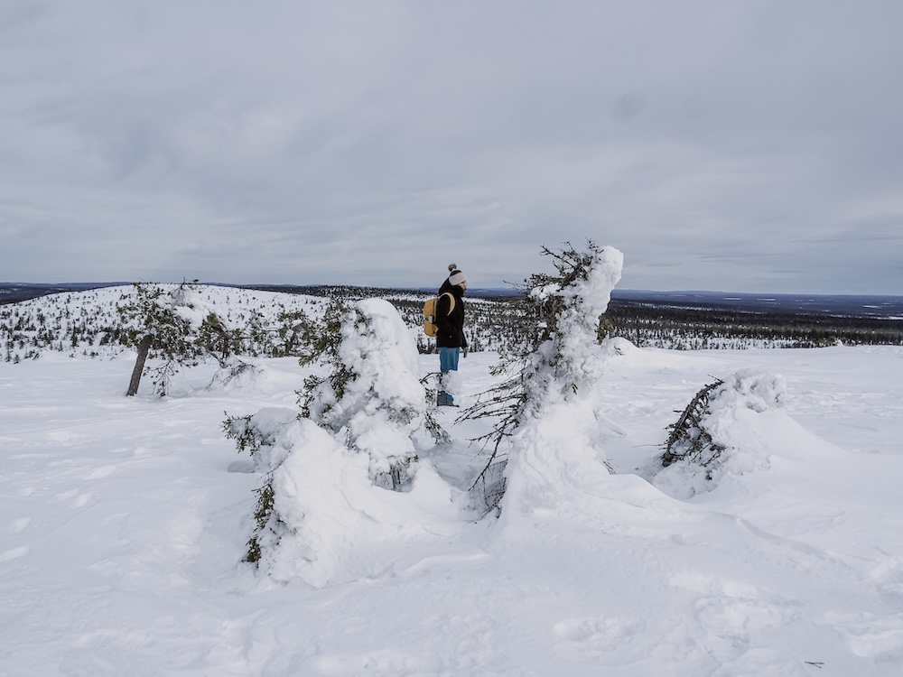 Winter hiking in Riisitunturi National Park