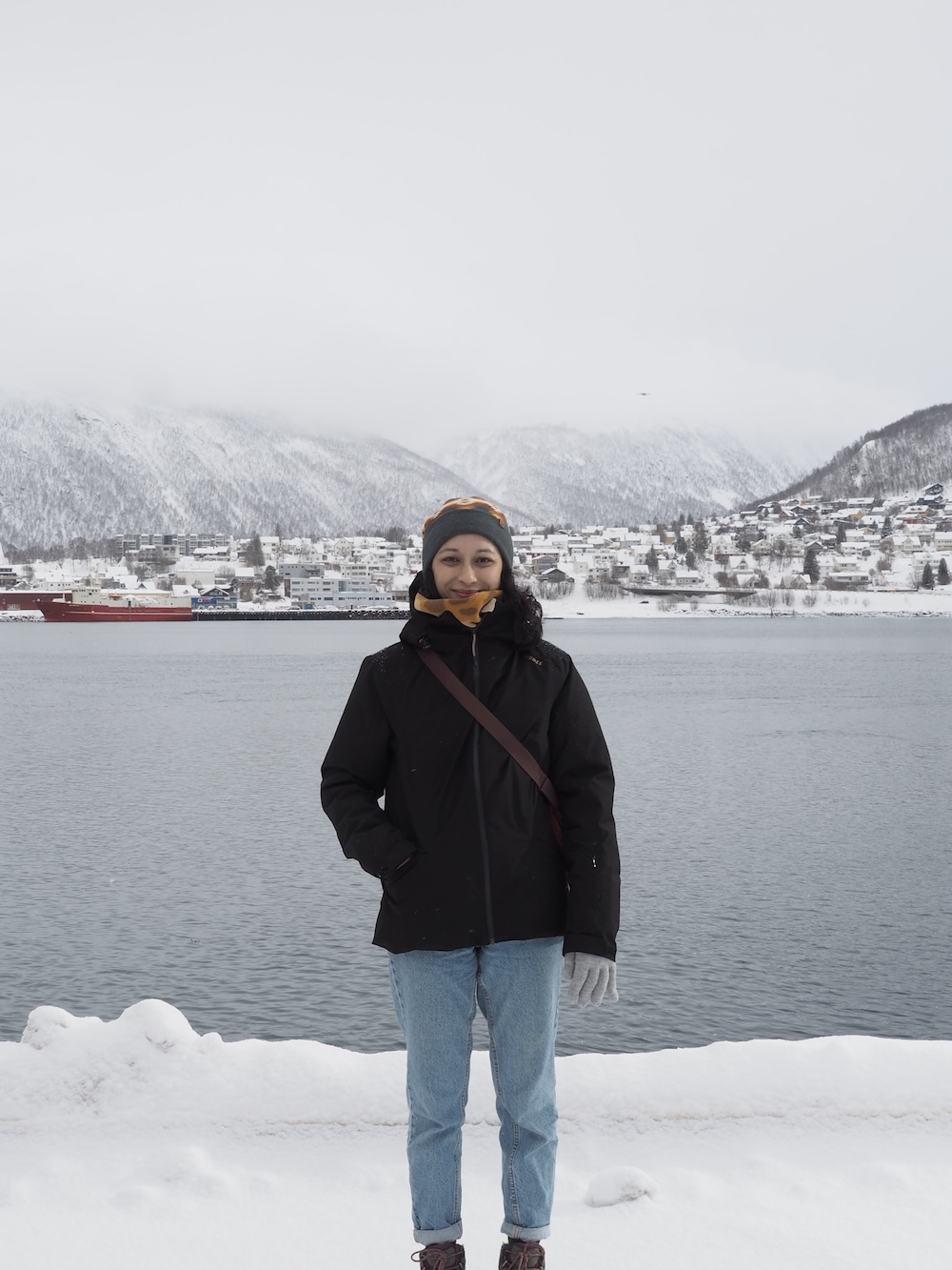 Tromsø Cruise Port