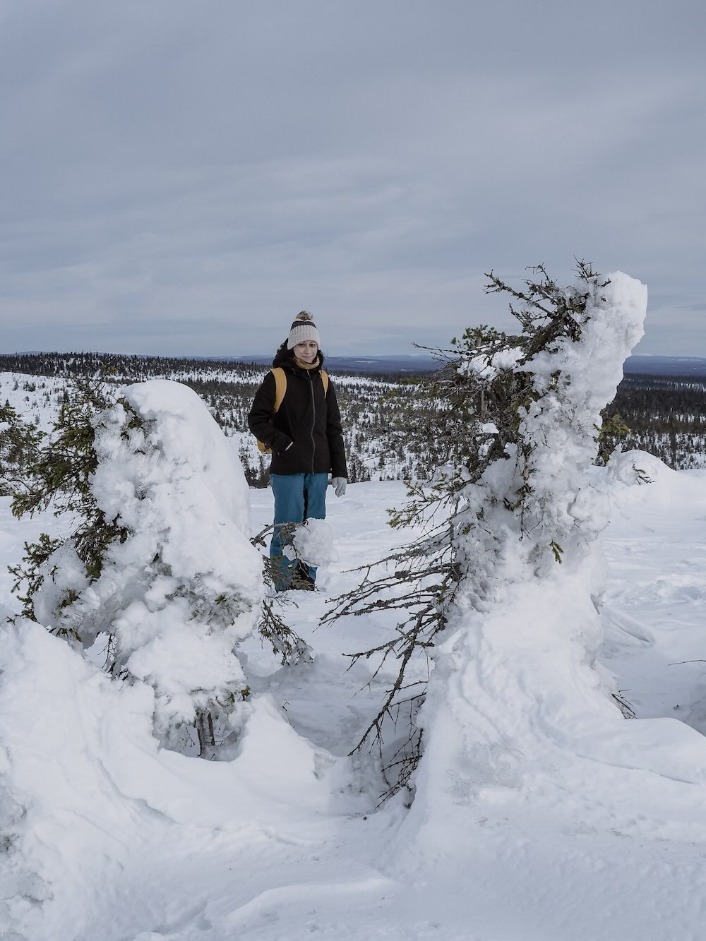 Winter hiking at Riisitunturi National Park in March