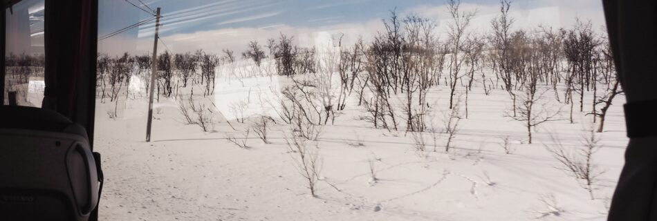 Window view from the Arctic Bus on the way to Rovaniemi